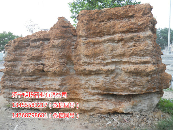 假山与自然石 (11).JPG