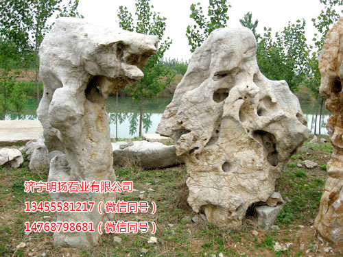 假山与自然石 (6).jpg